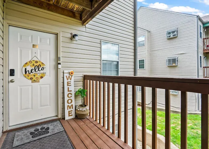 Family And Pet Friendly Ground Level Condo, 4 Mins To Silver Dollar City, Amazing Ozark Mountain Views