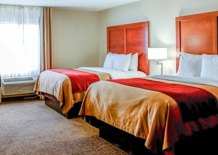 Comfort Inn Bessemer Birmingham South