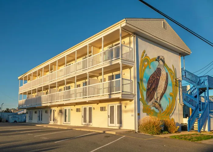 The Beach House At Drifting Sands