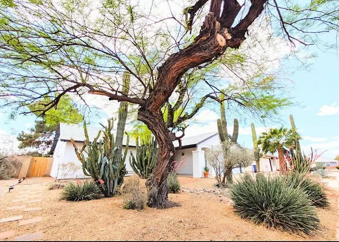 Cactus Guest Suite