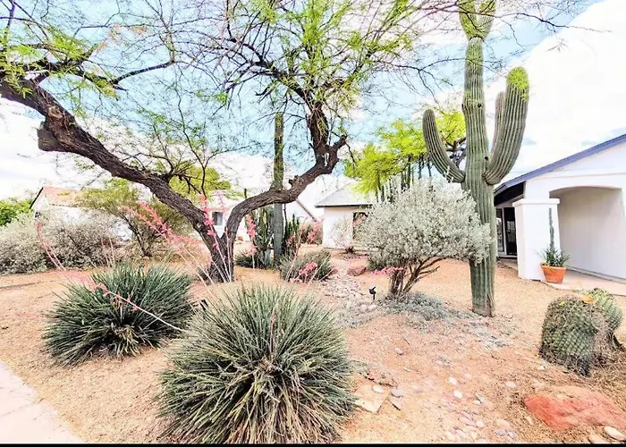 Cactus Guest Suite