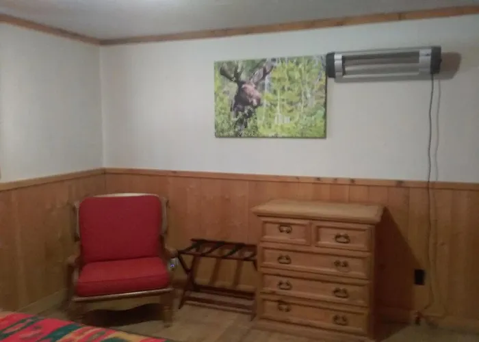 Colorado Cabin Adventure