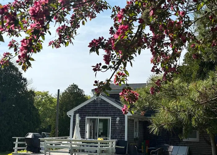 Pet Friendly Cape Cod Home Near Beaches & Golf!