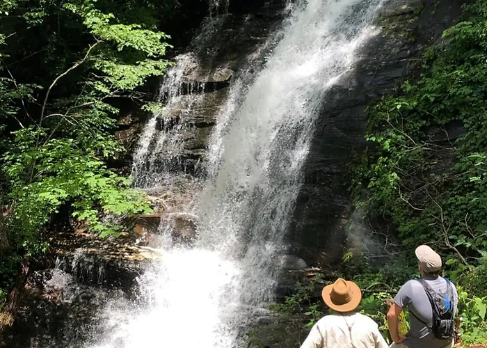Waterfall Overlook At Bearfoot Falls