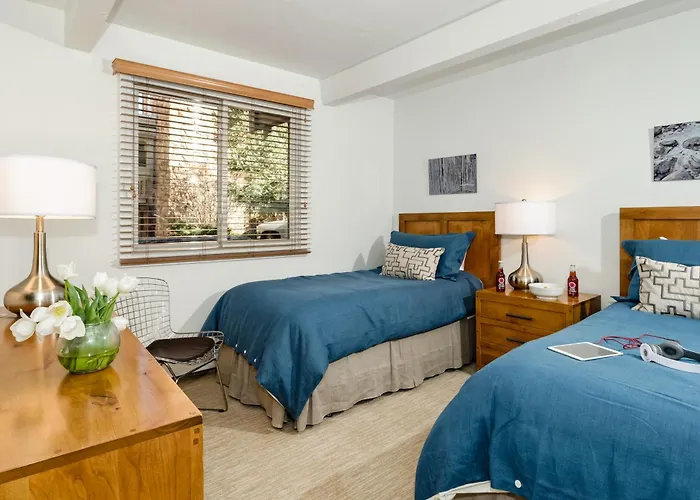 Aspen Alps Apartment #101