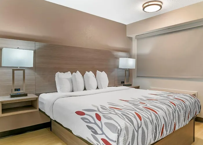 Red Roof Inn Detroit-Rochester Hills/ Auburn Hills