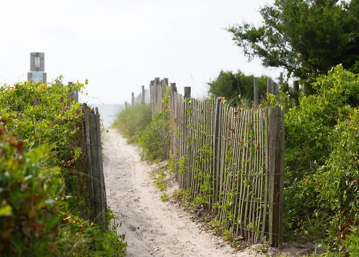 The Little Palm Room - Wrightsville Beach