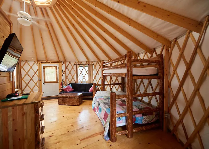 Circle M Camping Resort Yurt