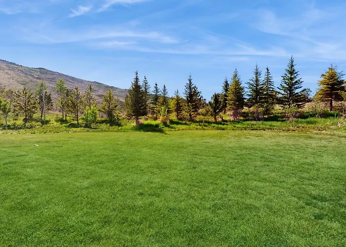 Tree Farm Sanctuary