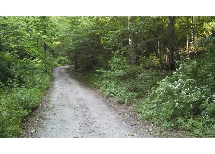 Cabin In The Woods-Peaceful 1Br 20-Acre Rural Retreat-Hottub&Wifi Near Asheville