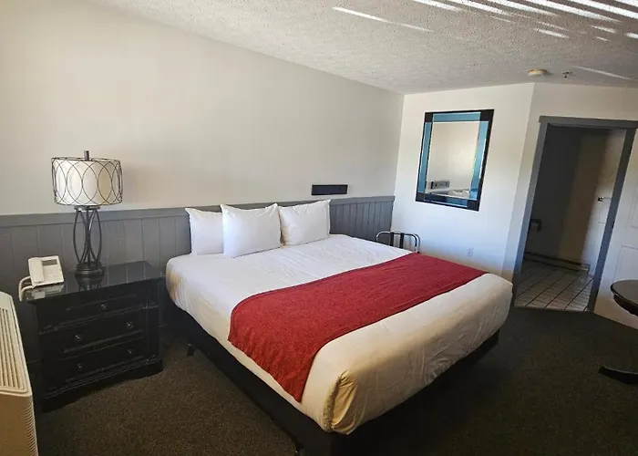 Baja Motel
