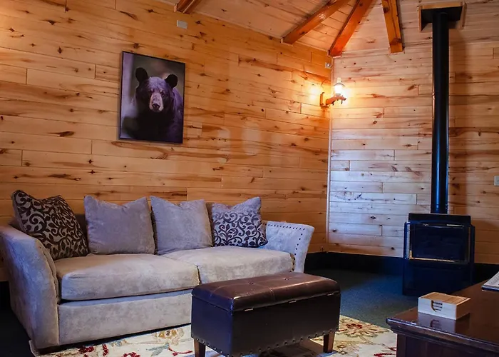 Bear Necessities Cabin, Mesa Verde Getaway