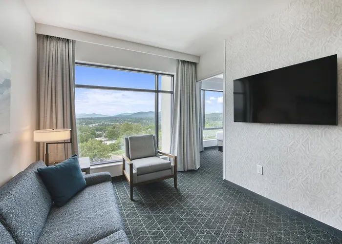 Embassy Suites By Hilton Asheville Downtown