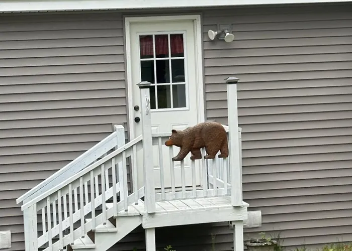 The Lazy Bear Cabin