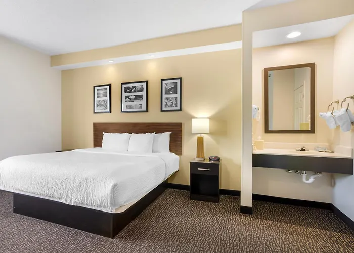 Sleep Inn & Suites At Concord Mills