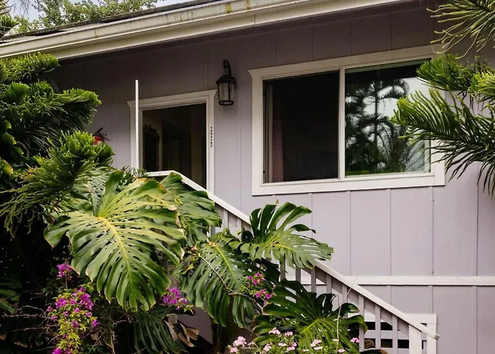 The Dolphin Cottage At Kehena Beach