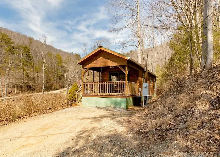Willow Pond Cabin That Is Peaceful And Quiet