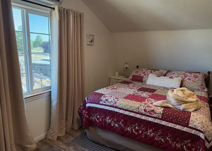 A Cozy Loft In Templeton