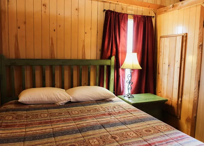 Lakeview Cedar Cabin - The Birds Nest - 1