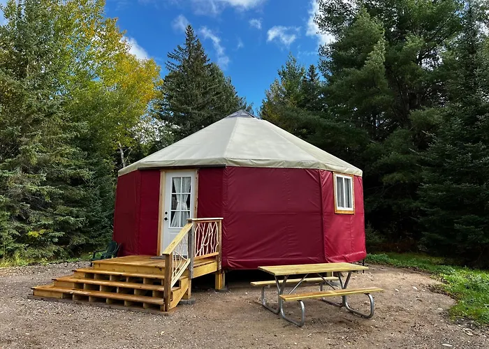 Cabin O' Pines - A Family Friendly Resort
