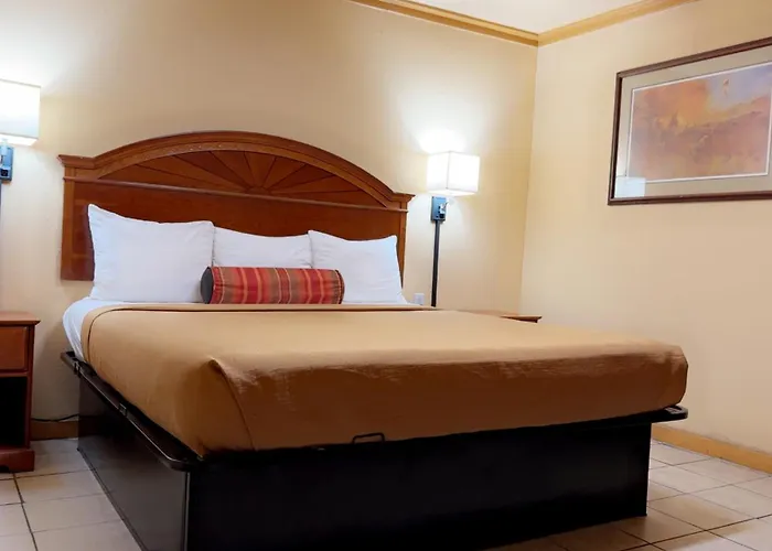Budget Inn