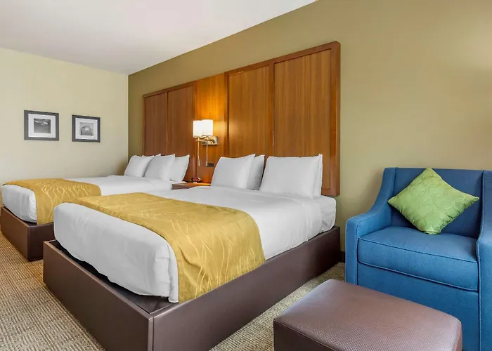 Comfort Inn & Suites Lakewood By Jblm