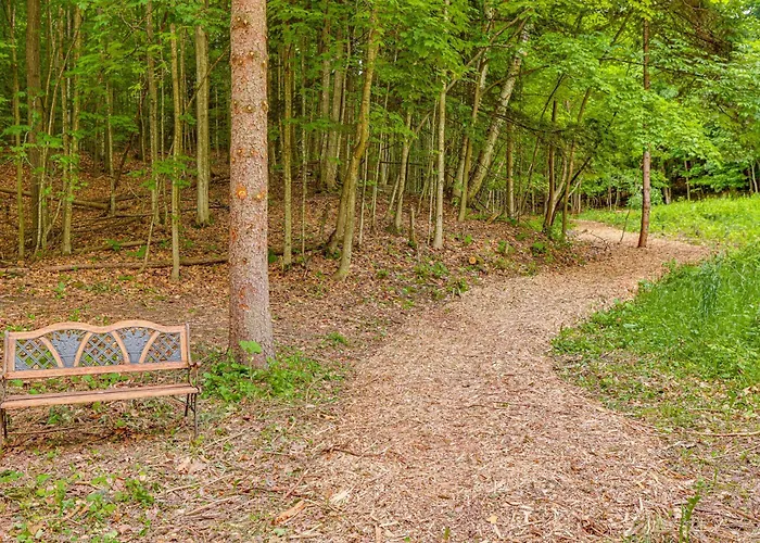 Secluded Suttons Bay Retreat W/ Fire Pit!