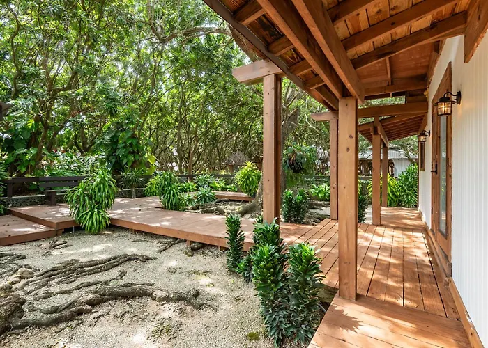 Quiet Zen Tiny House In Japanese Garden