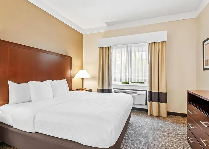 Comfort Suites Linn County Fairground And Expo