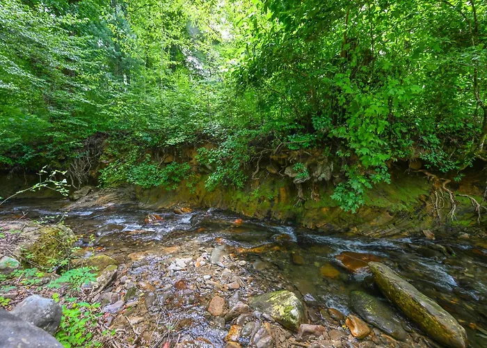 'Chateau On Compass Creek' Quiet Hayesville Escape