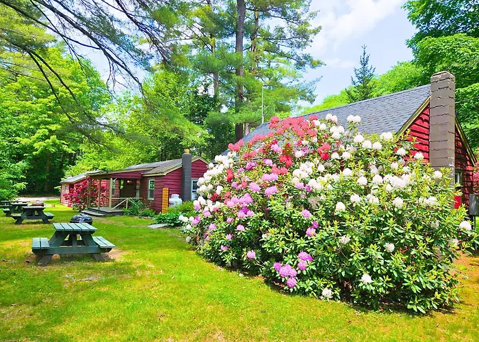 Phoenicia Lodge