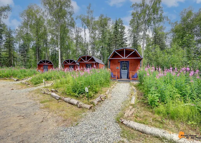Dfa Cabin Rentals