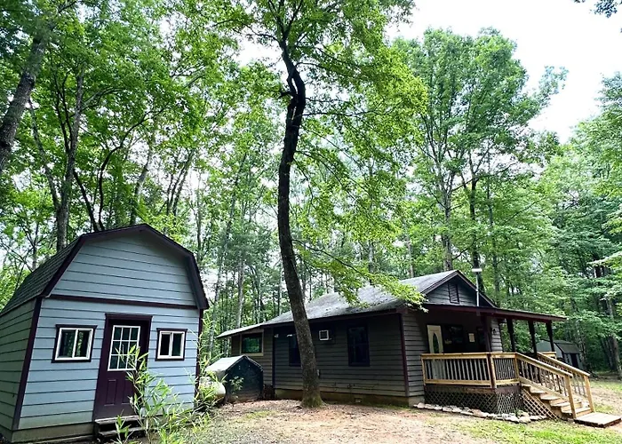 Peaceful, Cozy Cabin In The Woods