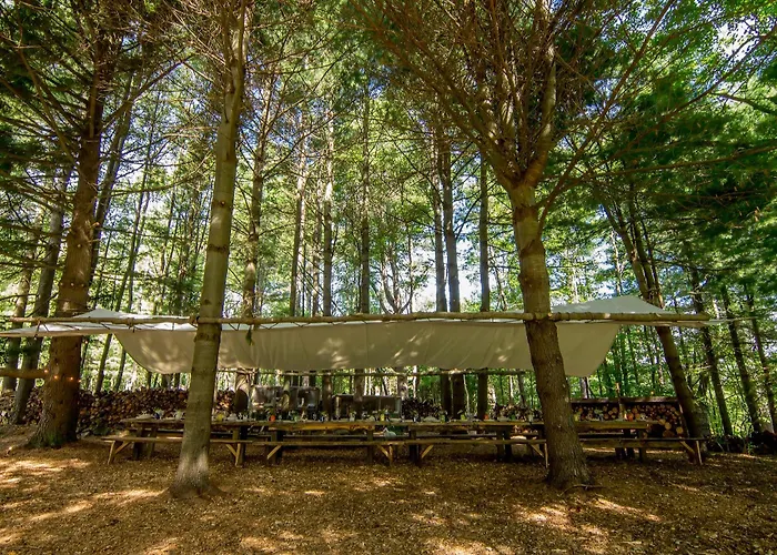 Outlier Inn Vintage Trailer Upstate Catskills Farm