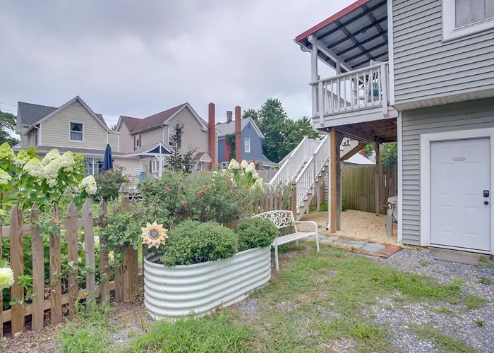 Walk To Park & River: Dog-Friendly Cambridge Gem
