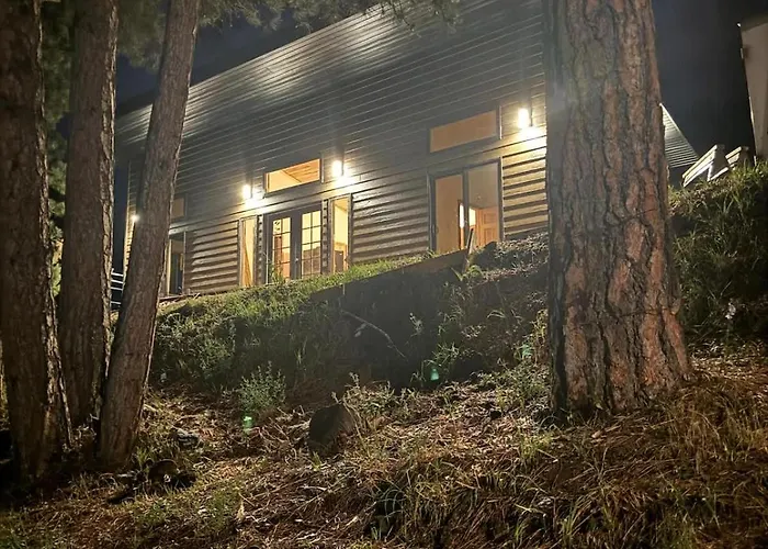 In The Center Of It All The Elkhorn Cabin