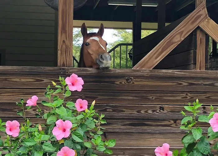 Horse Ranch Adventures - Paradise Ranch Bunkhouse