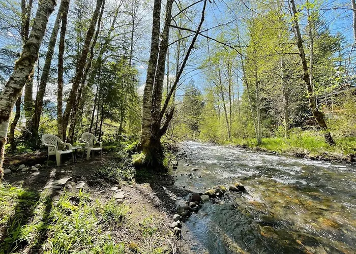 Mt Rainier Little Green Cabin On Big Creek!