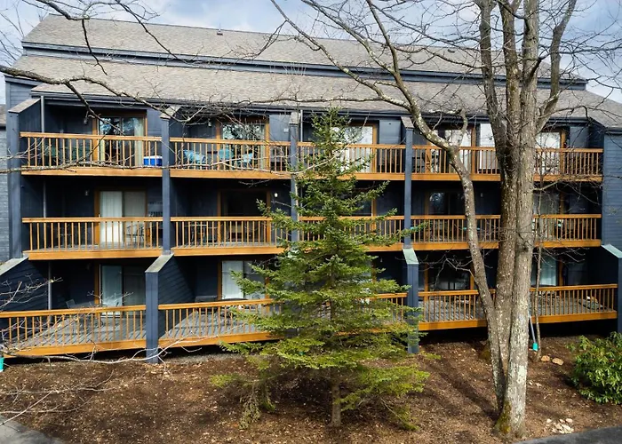 Timbers Studio 48 With Wintergreen Advantage