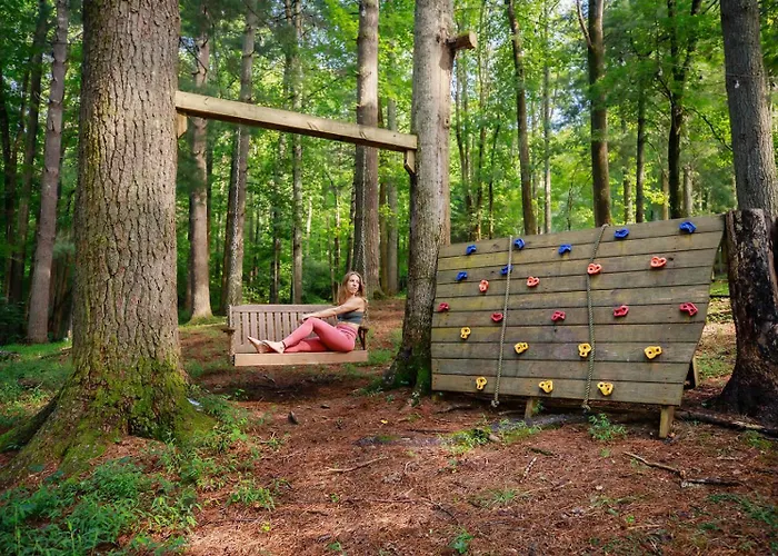 South Fork Cabin At Cabin Fever In Nc