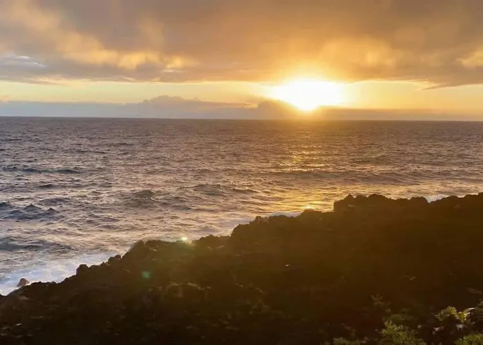 Oceanfront Studio See Whales And Dolphins