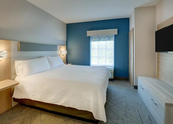 Holiday Inn Express & Suites Orangeburg By Ihg