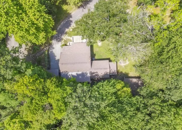 Sitting Bear Cottage Flying Squirrel Cottages