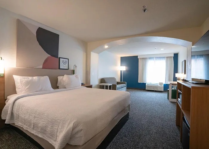 Spark By Hilton Brandon