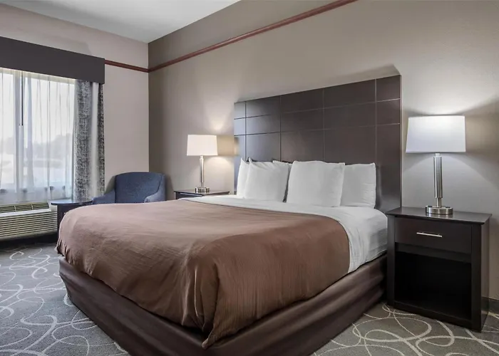Best Western Limestone Inn And Suites