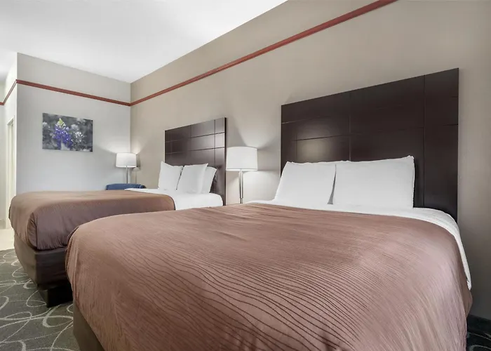 Best Western Limestone Inn And Suites