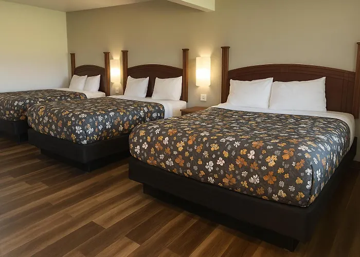 American Inn & Suites