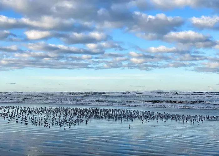Tidal House #4 - Ocean Shores Chalet