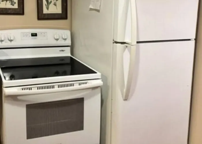 Charming 1-Bedroom Basement Close To Dc Pets Allowed