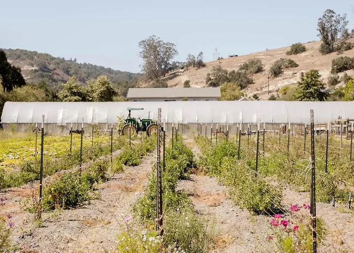 Wild Hair Studio-Stylish Farm Stay W Ev Charger